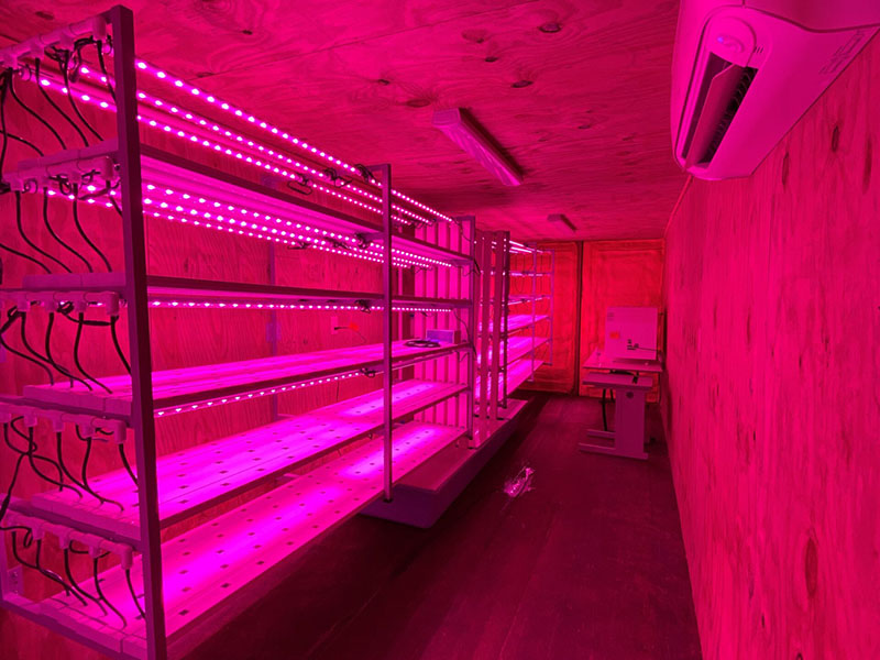 Vegetable Gardening in Containers