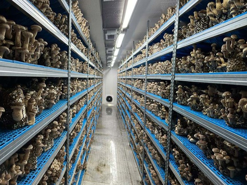 Shipping Container Vegetable Growing