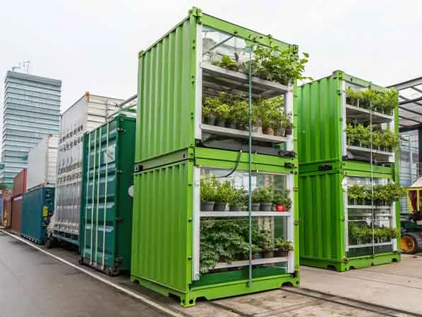 Shipping Container Farms: Scalable Urban Agriculture