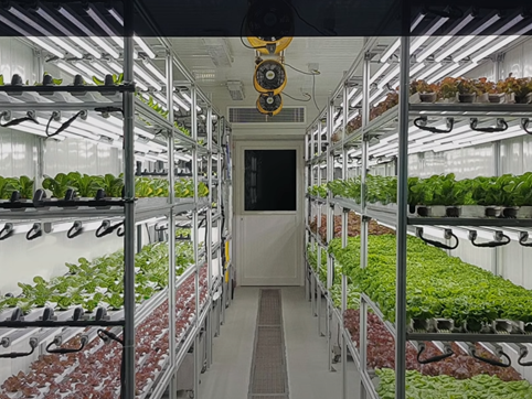 Shipping Container Greenhouse